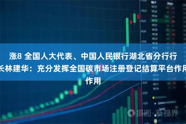 涨8 全国人大代表、中国人民银行湖北省分行行长林建华：充分发挥全国碳市场注册登记结算平台作用