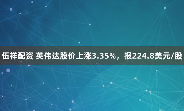 伍祥配资 英伟达股价上涨3.35%，报224.8美元/股